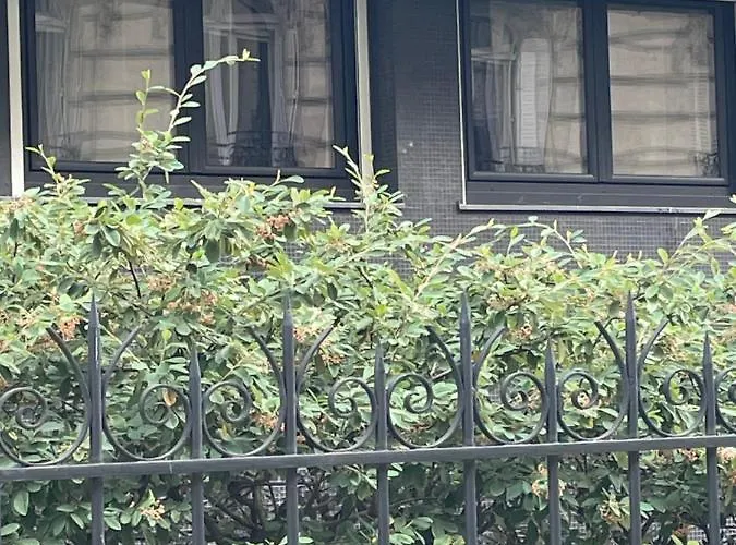 Cosy 16 Victor Hugo Paris