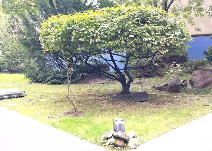 Cosy 16 Victor Hugo Paris